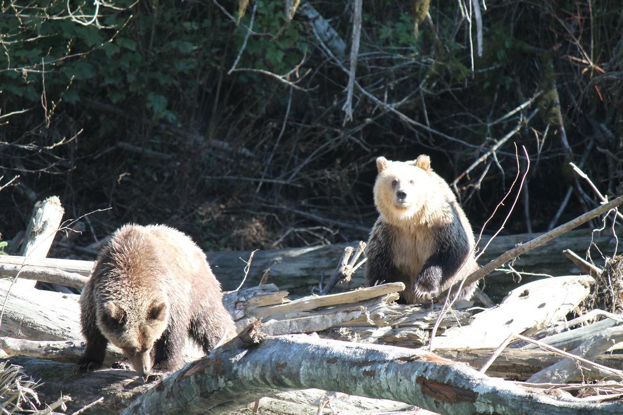 Homfray Lodge Desolation Sound Екстер'єр фото